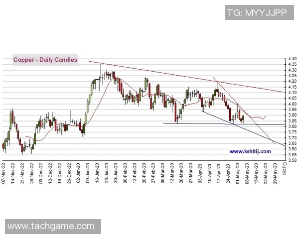 广州飞盘队近期状态分析与发展前景探讨